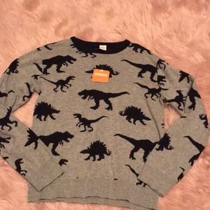 Kids Dinosaur Gymboree sweater pullover XL14